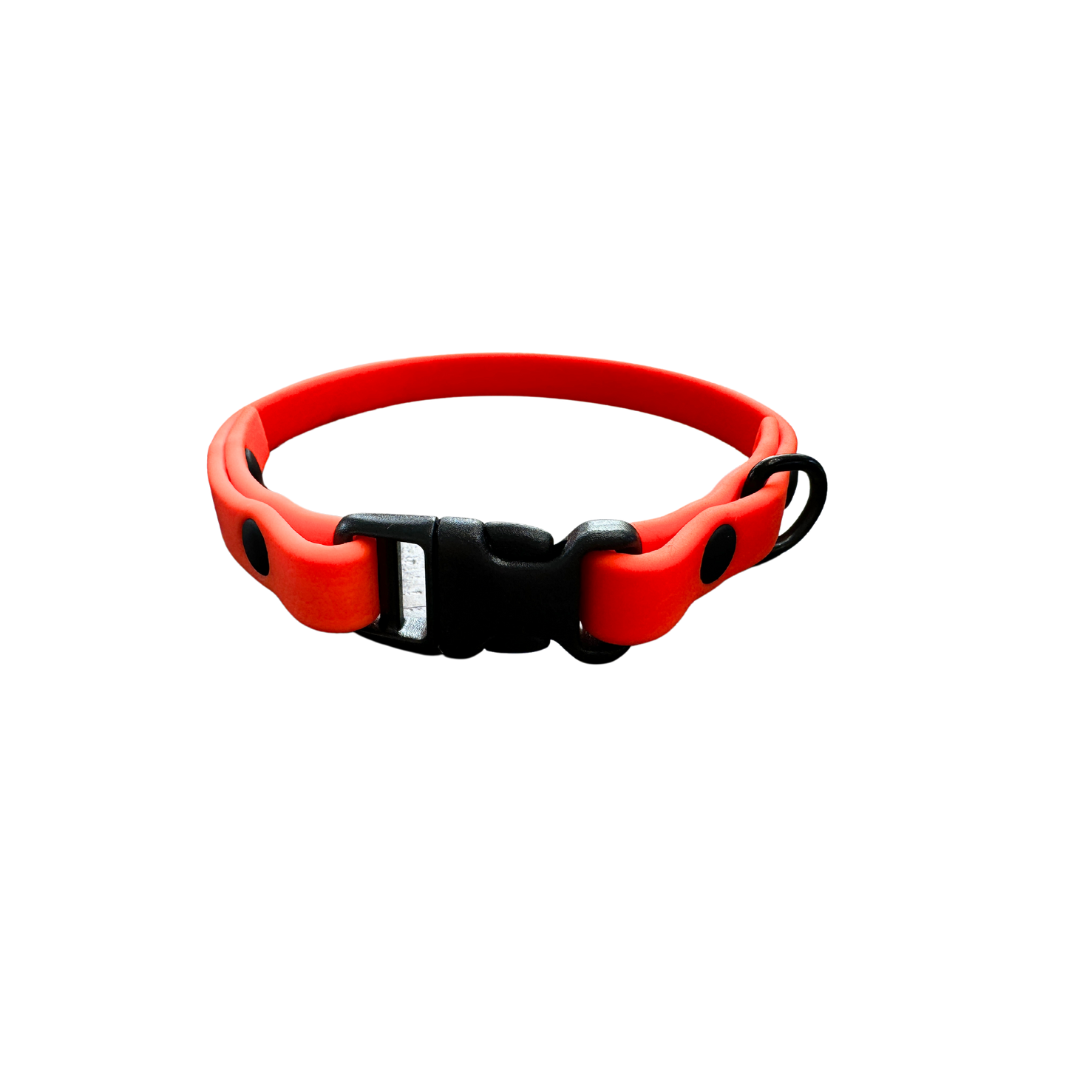 EverMore Biothane™ 3/8" Collar