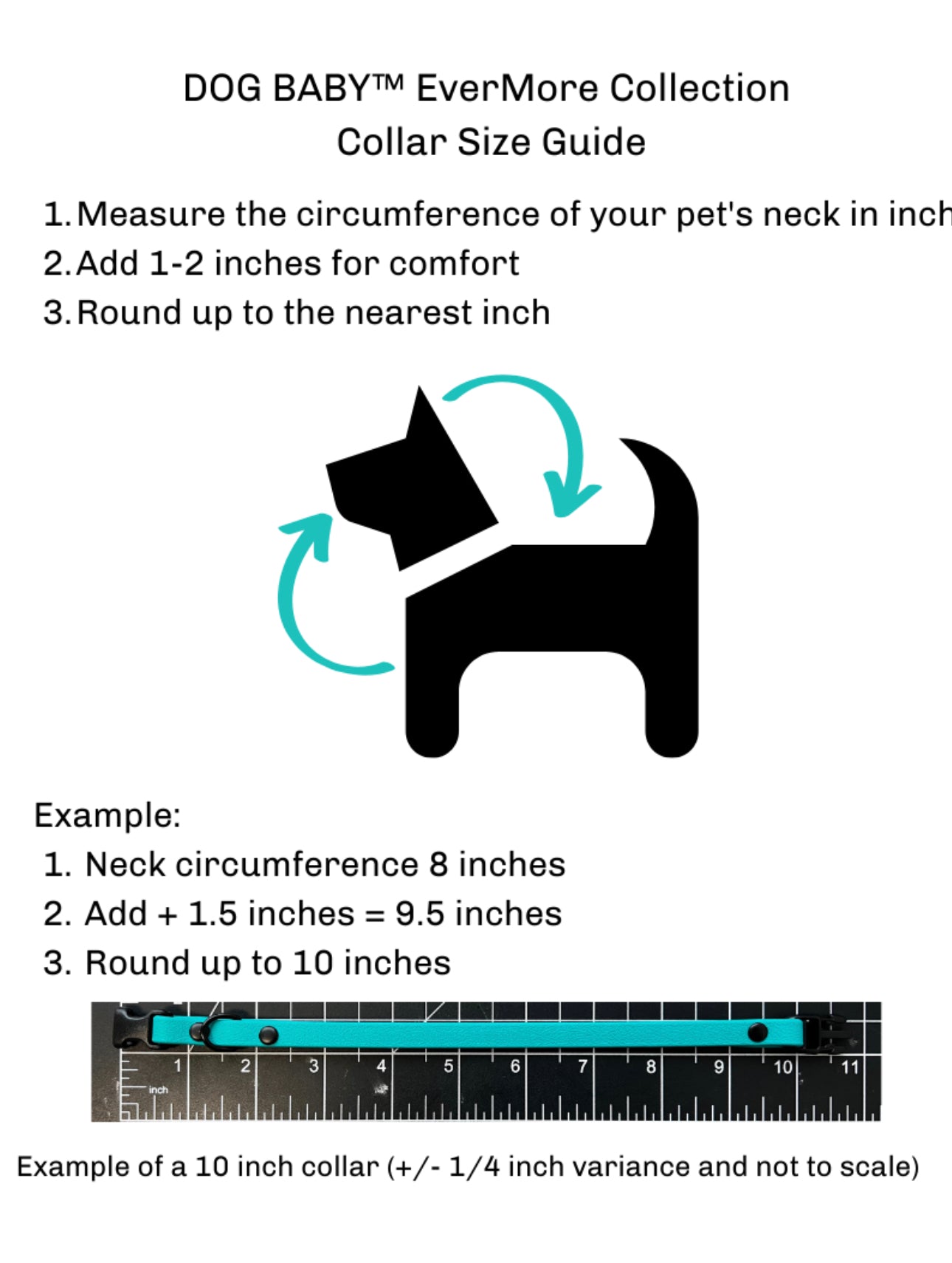 EverMore Biothane™ 3/8" Collar