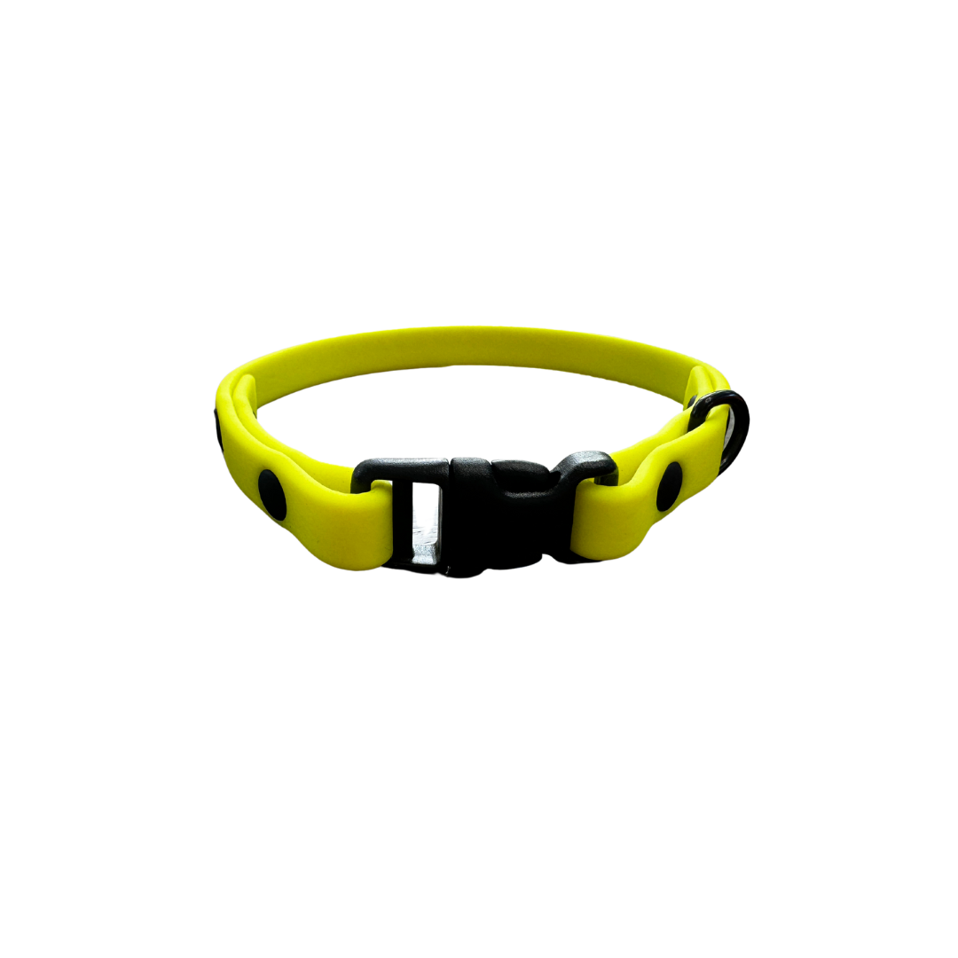 EverMore Biothane™ 3/8" Collar