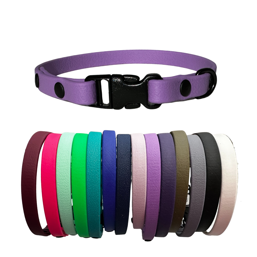 EverMore Biothane™ 3/8" Collar