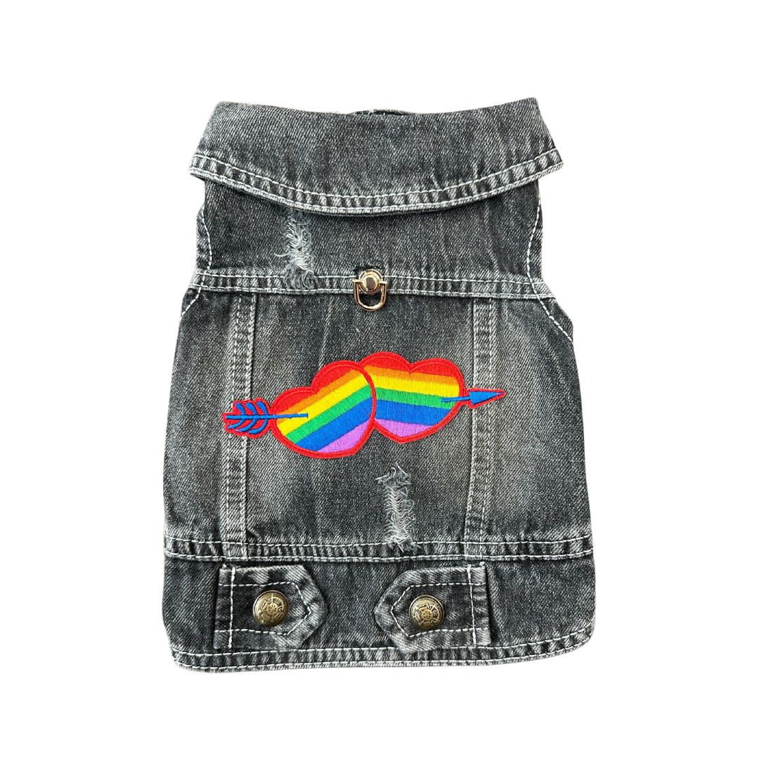 Love Wins Battle Vest for dogs S-XXL