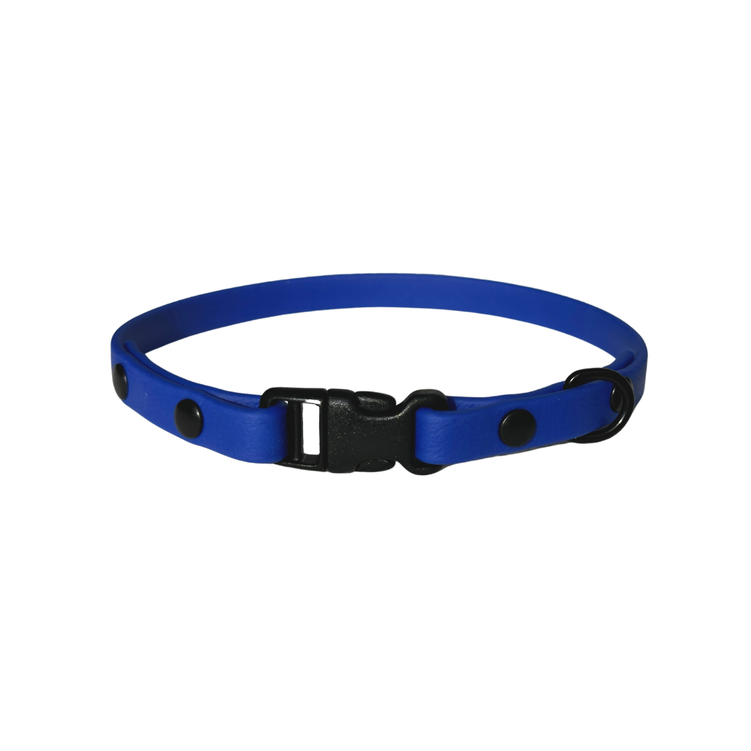 BioThane collar 3/8" neon blue