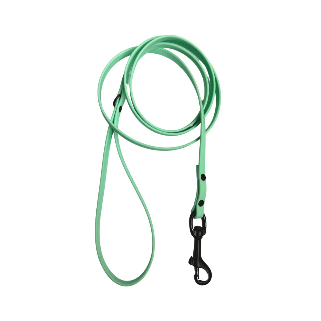 Biothane leash 3/8 mint