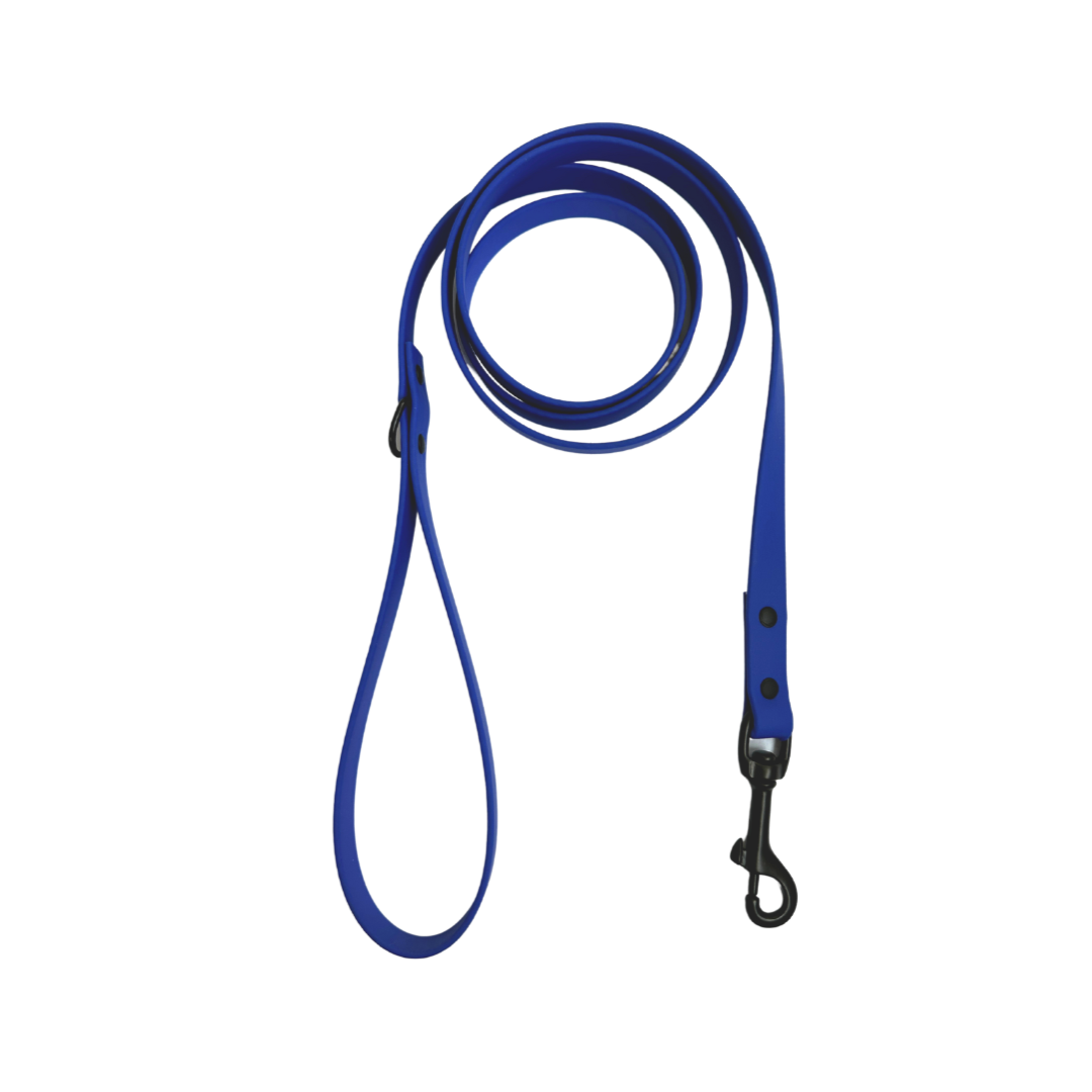 Biothane leash 5/8" neon blue