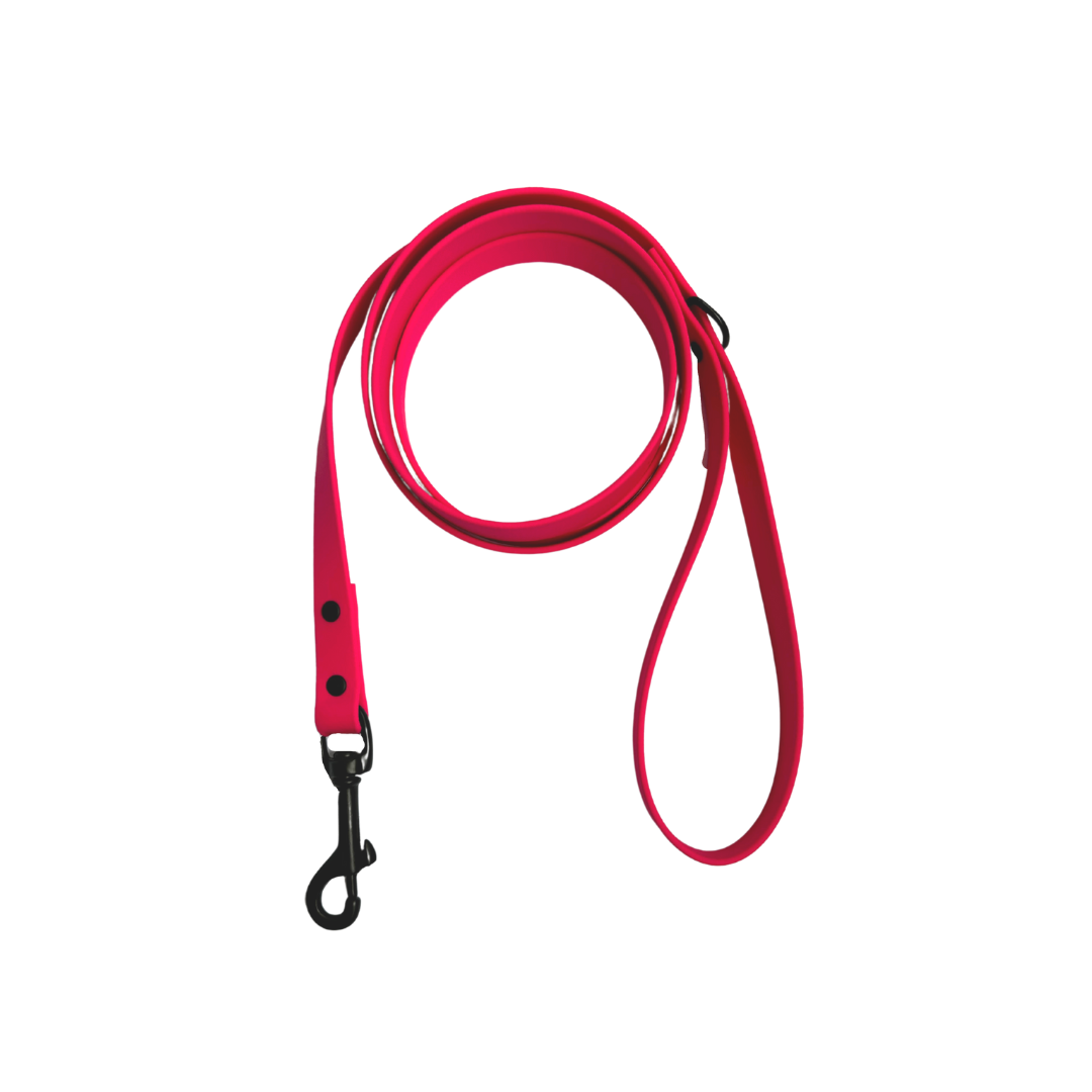 Biothane leash 5/8" neon pink