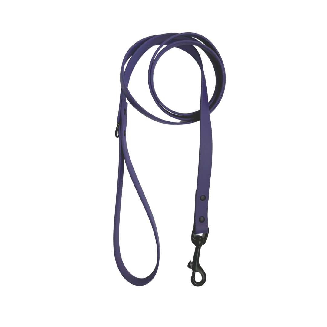 Biothane leash 5/8" neon violet