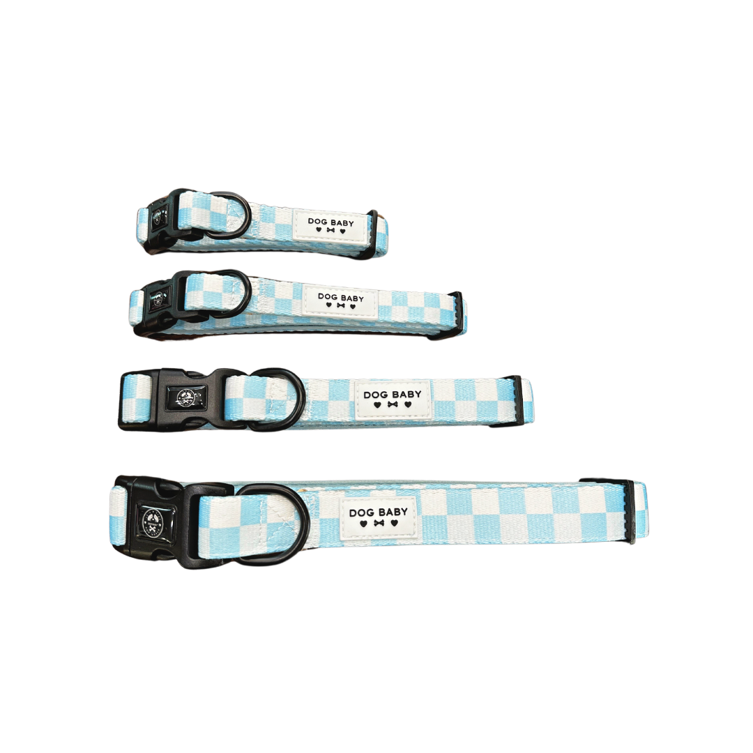 DOG BABY™ WALKIES Comfort Collar - Race Me Baby Blue