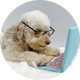 Bark To School Laptop Toy - DOG BABY™