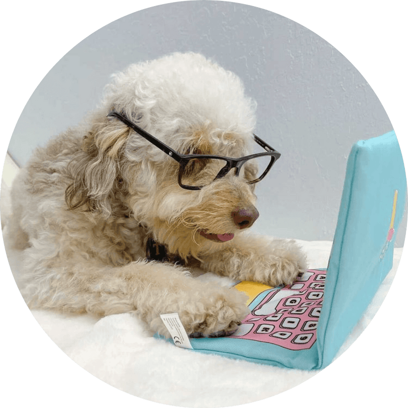 Bark To School Laptop Toy - DOG BABY™