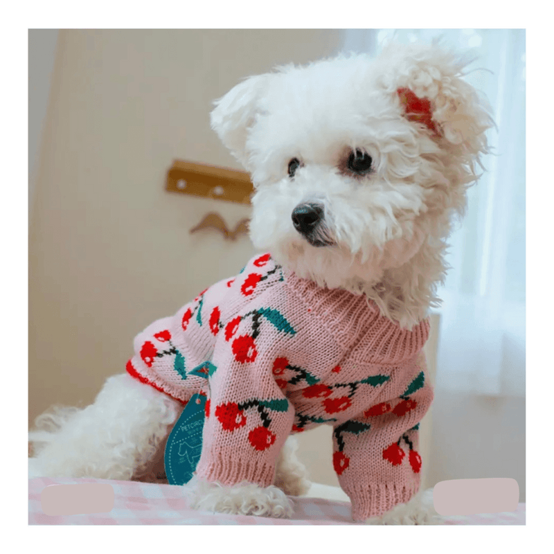 Cherry Pie Shaker Sweater - DOG BABY™