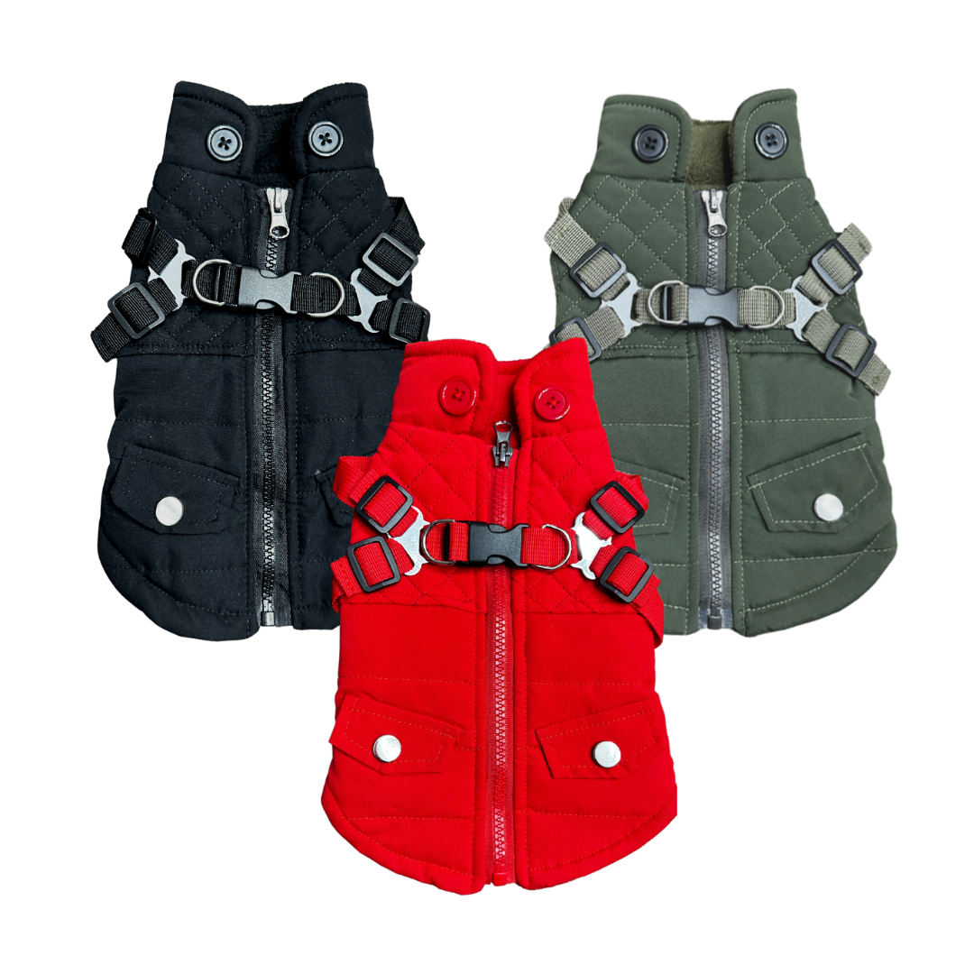 dog field jacket in black, green red