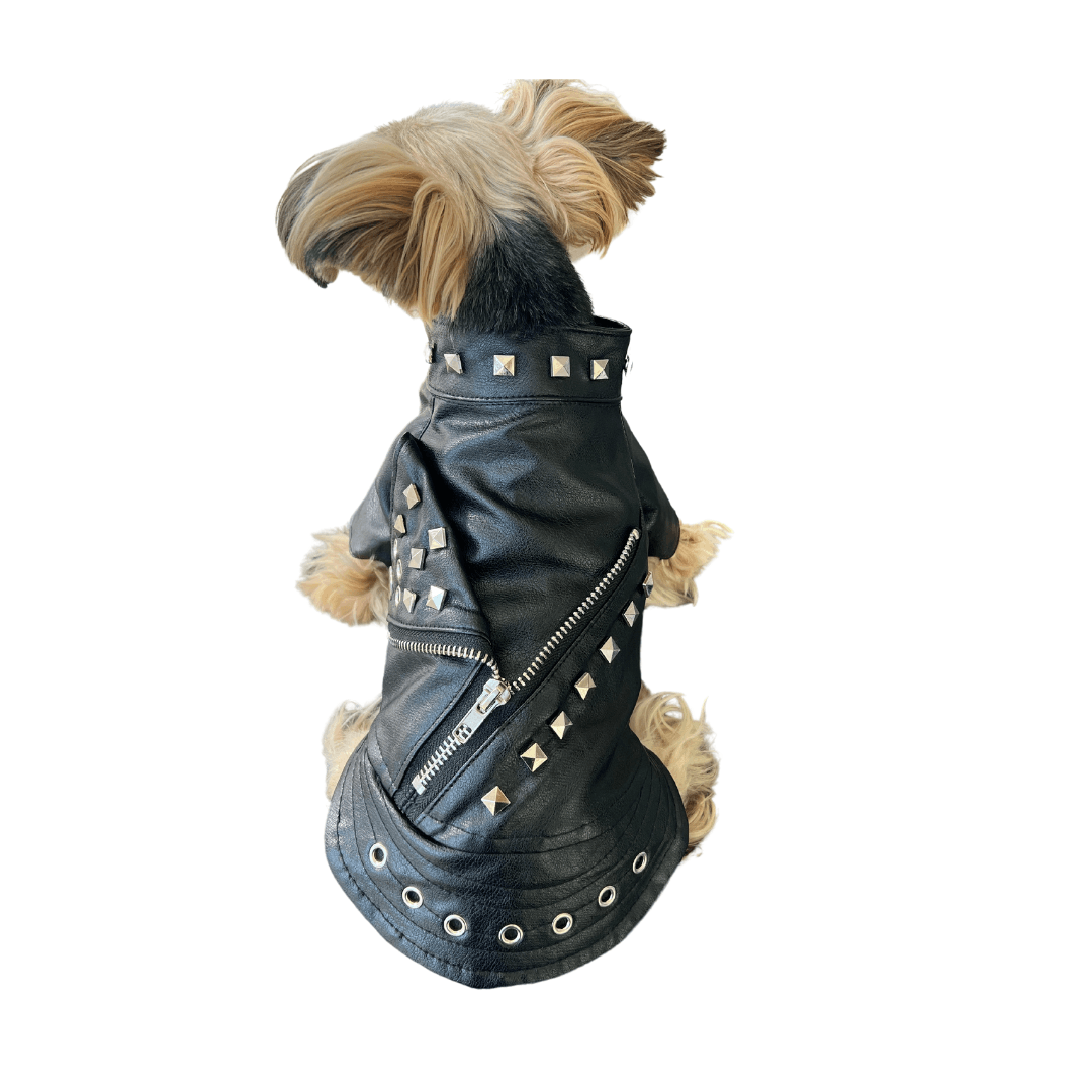 Punked Studded Moto Jacket - DOG BABY™