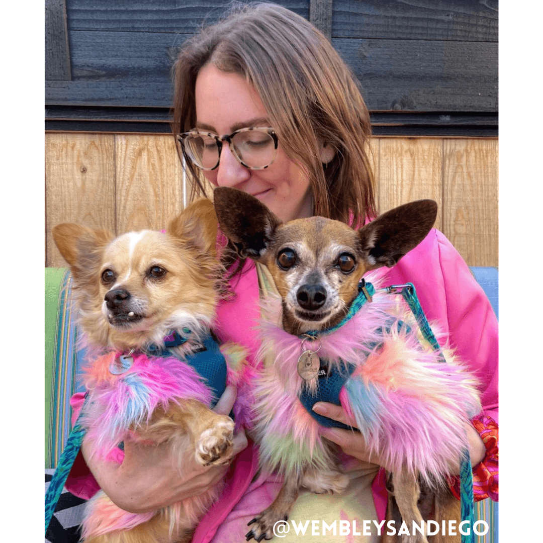 Rainbow Floof Sweater - DOG BABY™