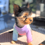 Rainbow Sweater - DOG BABY™